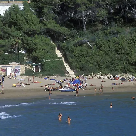 キャンプ場 Camping De Salou *